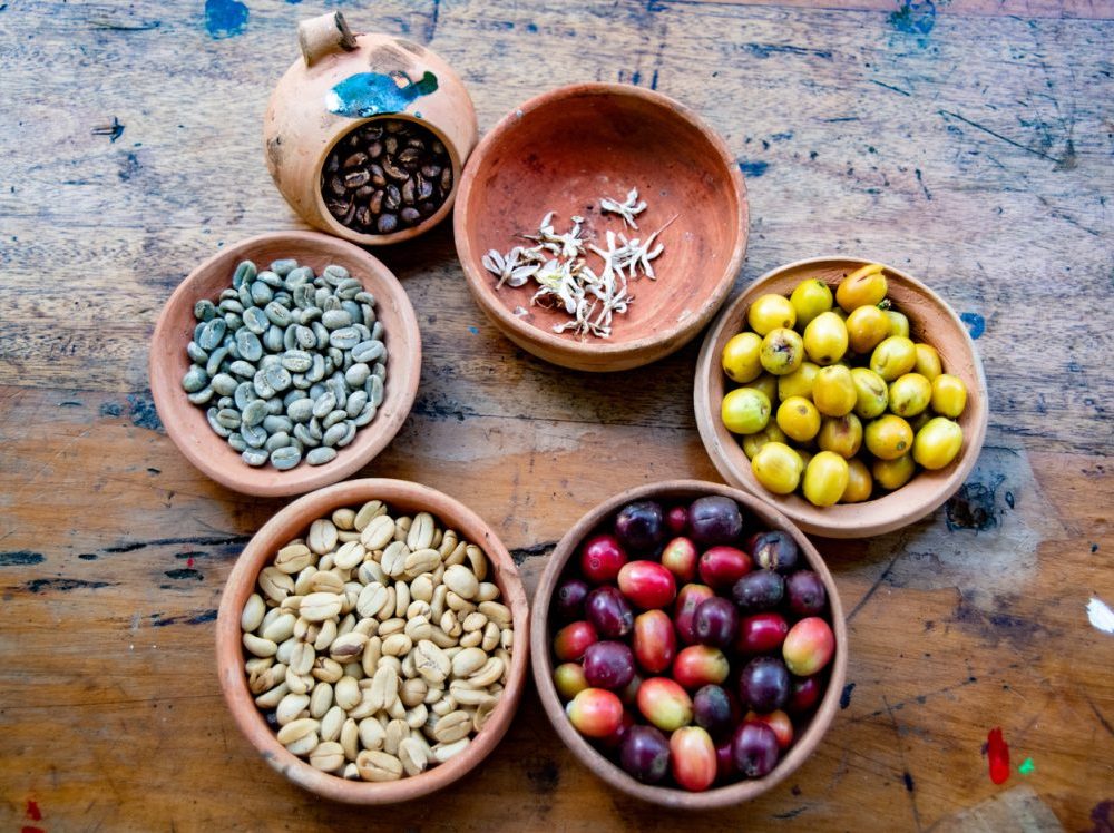 Inca Jungle Coffee Trail towards Machu Picchu 2D
