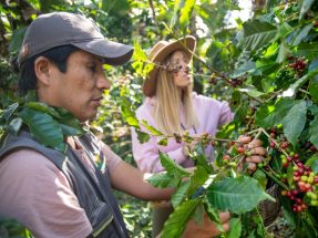 Coffee and/or Cacao Farm Tour 2D
