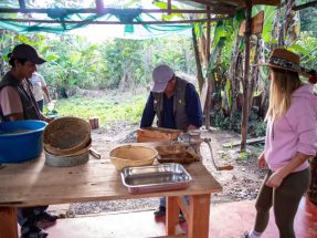 Coffee Farm Experience: 1-Day Tour