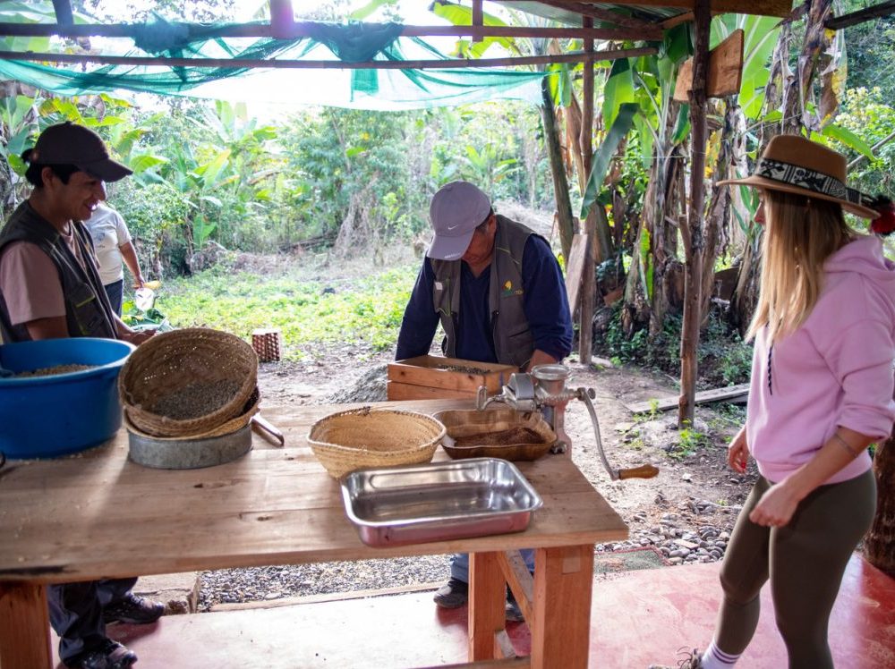 Coffee Farm Experience: 1-Day Tour