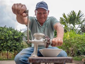 Cacao Farm Experience 1-Day Tour Cusco
