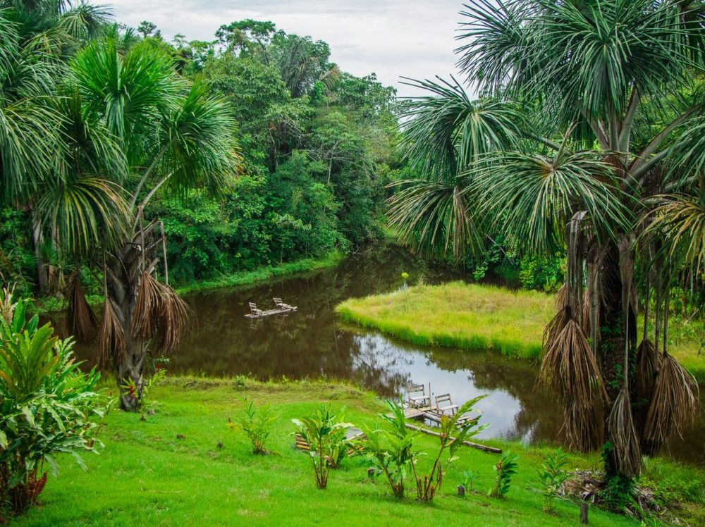 Pacaya Samiria Tour: 3 Days Adventure in the Jungle of Mirrors