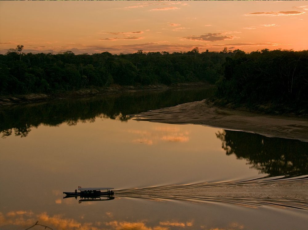 Sachavacayoc: 4-Day Deep Expedition in Tambopata