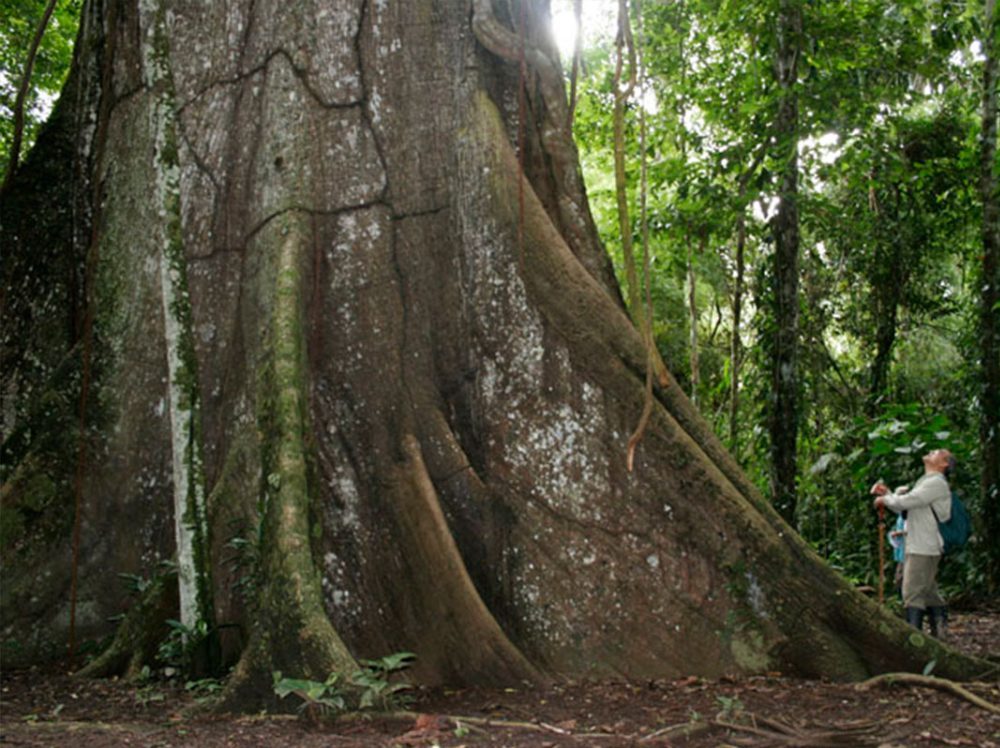 Sachavayoc tour 3 dias