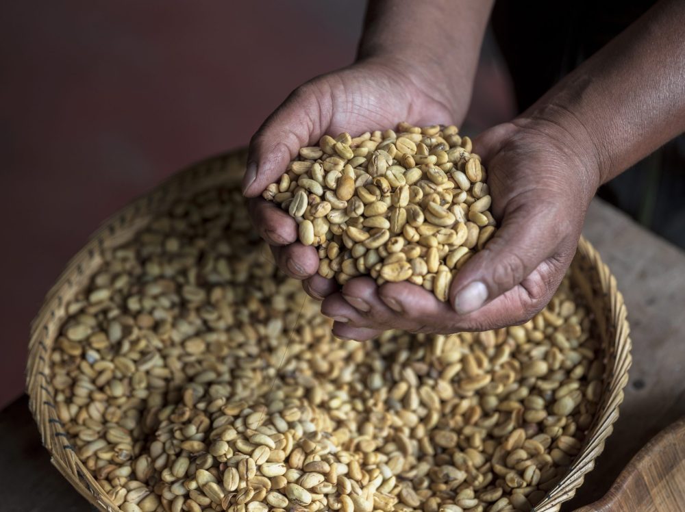 Full Experience, coffee and cacao Farm 2-day Tour