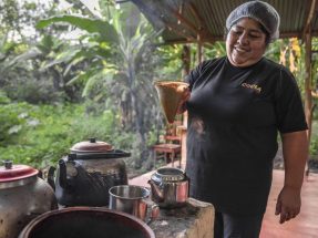 Coffee and Cacao Full Farm Experience 1-Day Tour