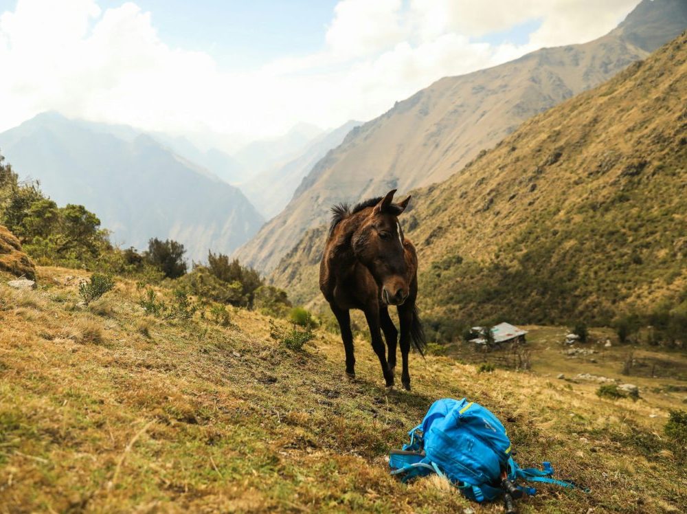 Inca Trail