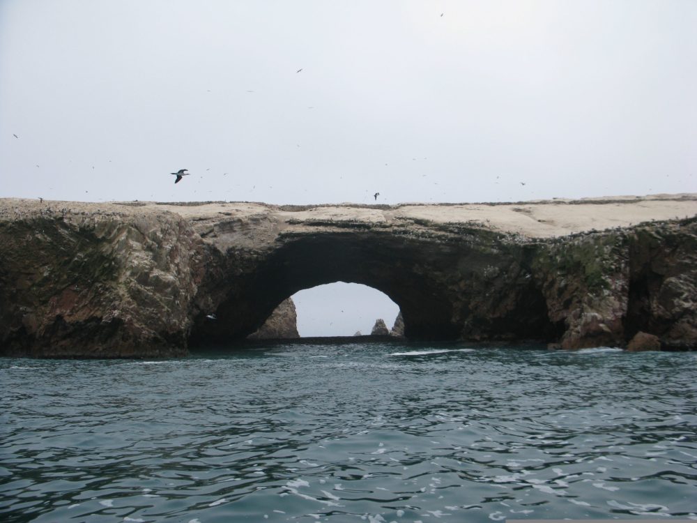 Paracas Bridge