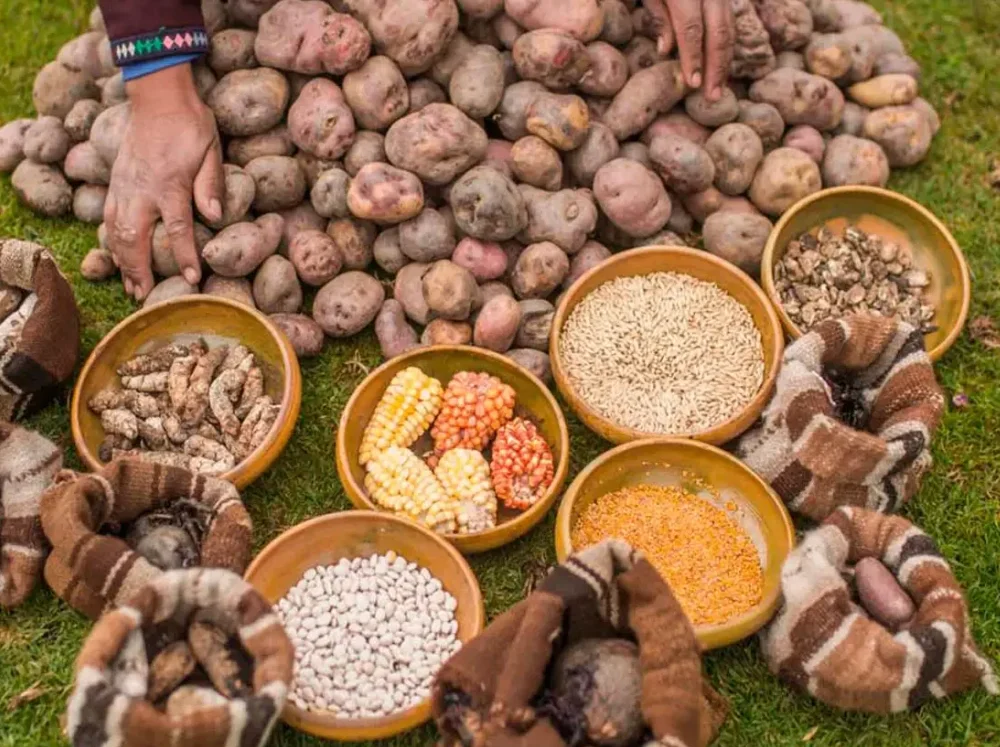 Pisac Cultural Tour: Potato Park & Silver Jewelry Workshop.