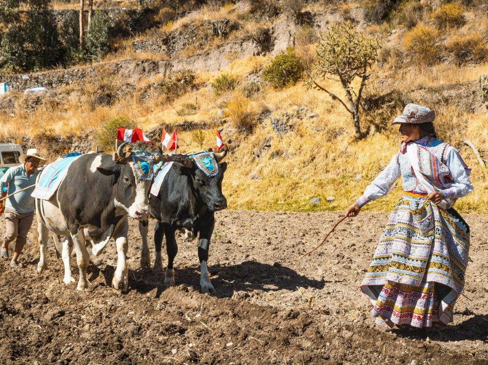 Andean Community Machu Picchu