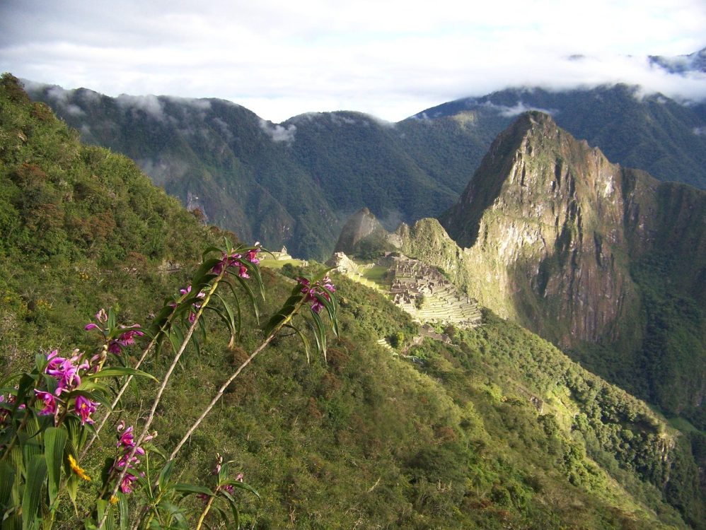 Coffee Route and Machu Picchu 5 Days