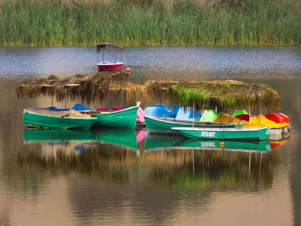 Lake Titicaca Tour Uros and Taquile Fast Boat