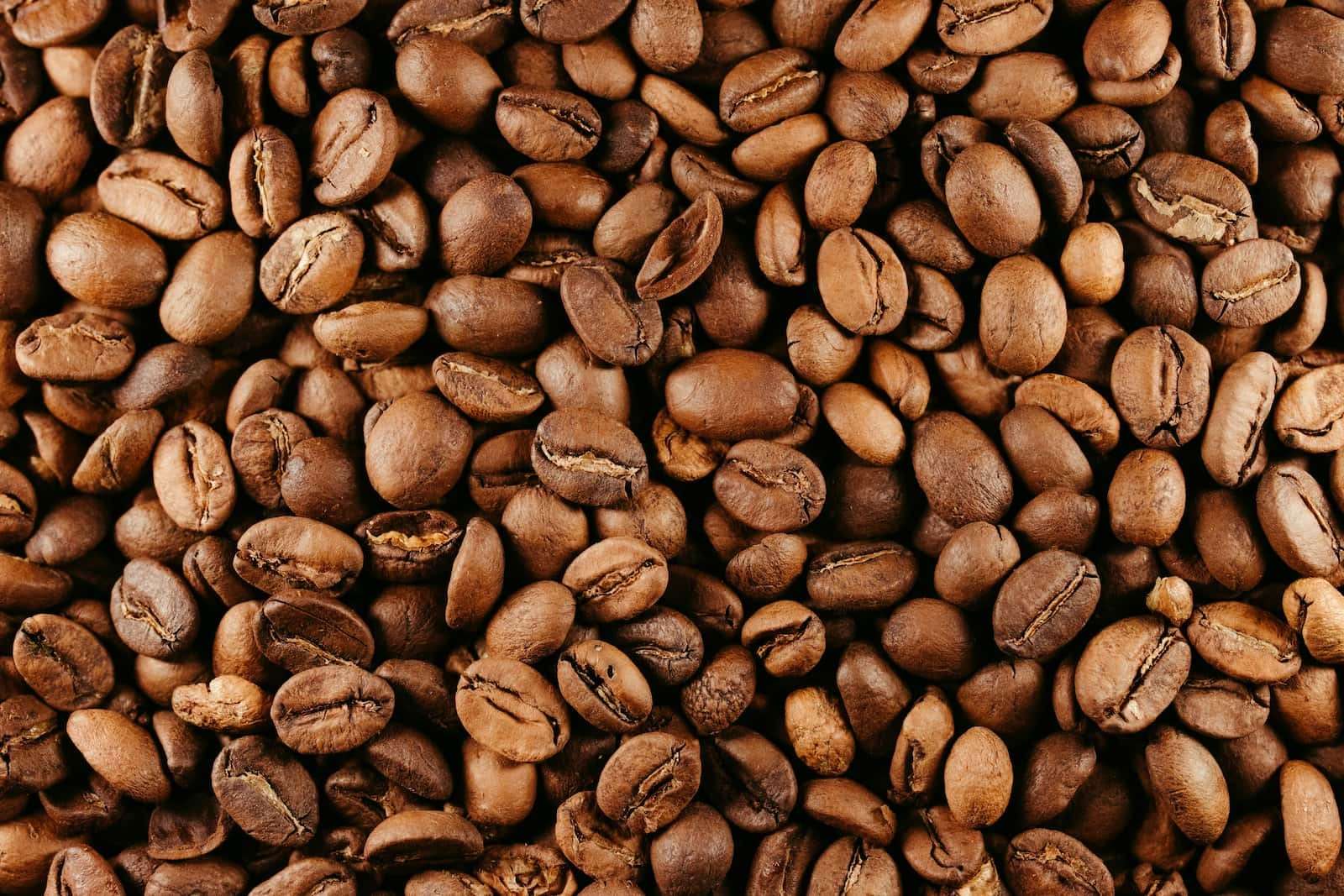 roasted coffee beans